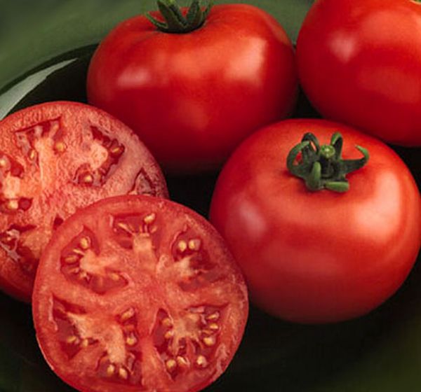 To preserve the beneficial properties of tomatoes, it is better to use after ripping.