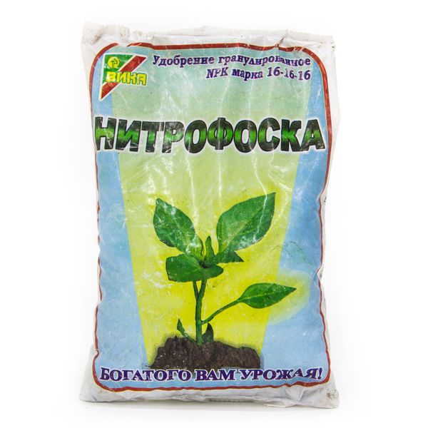 Οι φράουλες τροφοδοτούνται nitrophoska για το δεύτερο έτος