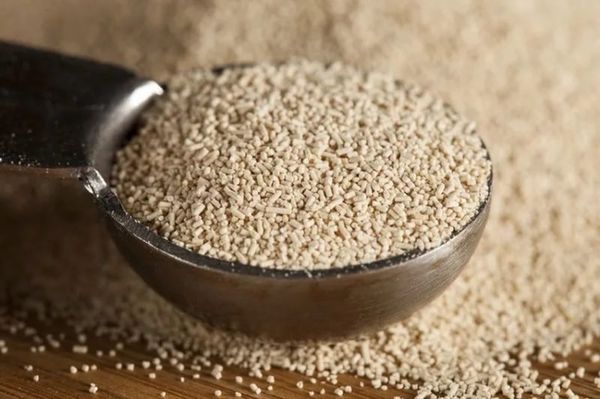 Η ζύμη διεγείρει την ανάπτυξη των φυτών