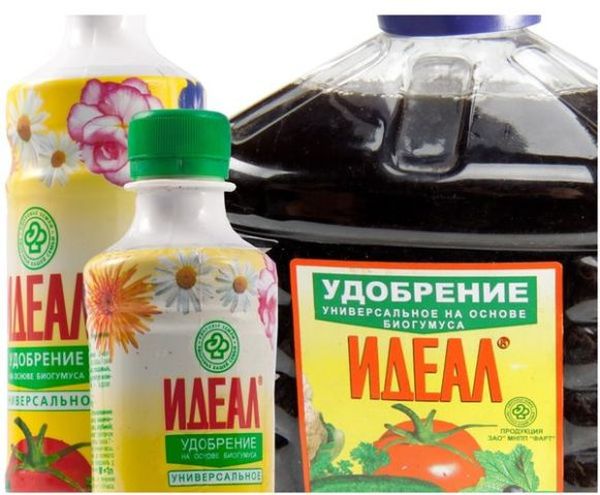 Idéal - engrais prêt à l'emploi pour pulvériser les pommes de terre