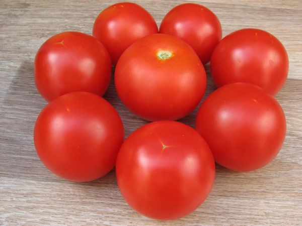  Tomaten-Sanka