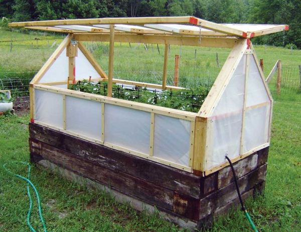 The greenhouse must be installed on the south side of the plot.