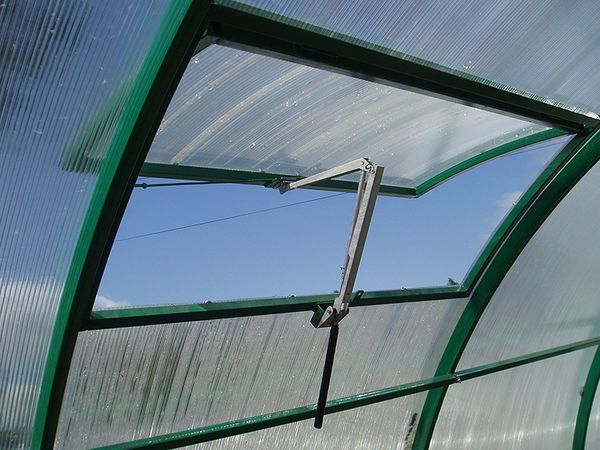 To prevent the appearance of fungus, the greenhouse must be carefully aired.