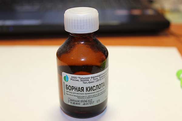 Le traitement à l'acide borique favorise la croissance des plantes