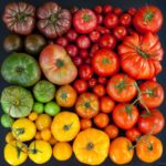 Variety of fruit colors