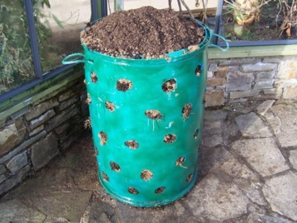 Préparation du sol dans un tonneau pour la plantation de fraises