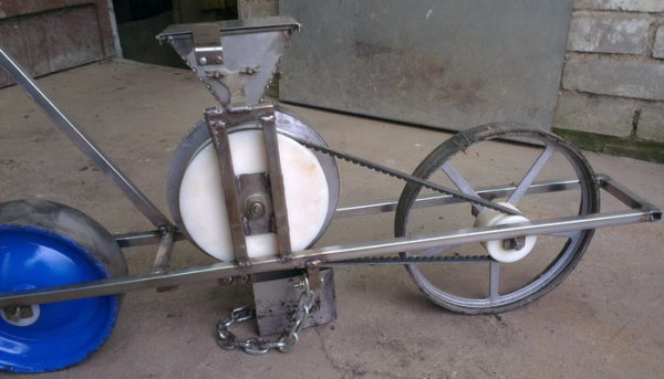 Домашно засаждане на чесън