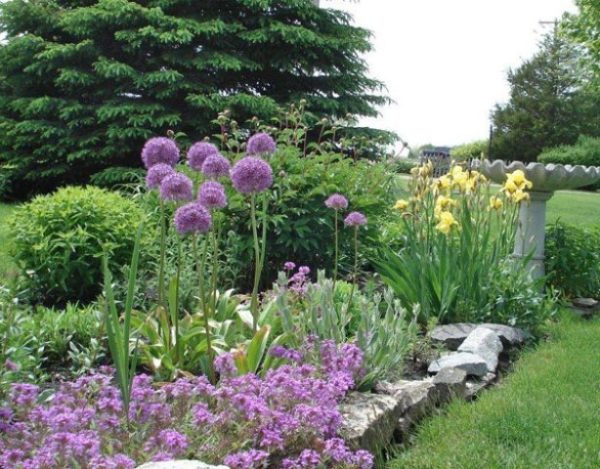 Arc décoratif en combinaison avec d'autres couleurs