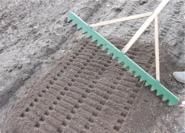 Домашна рейка за засаждане на семена от моркови