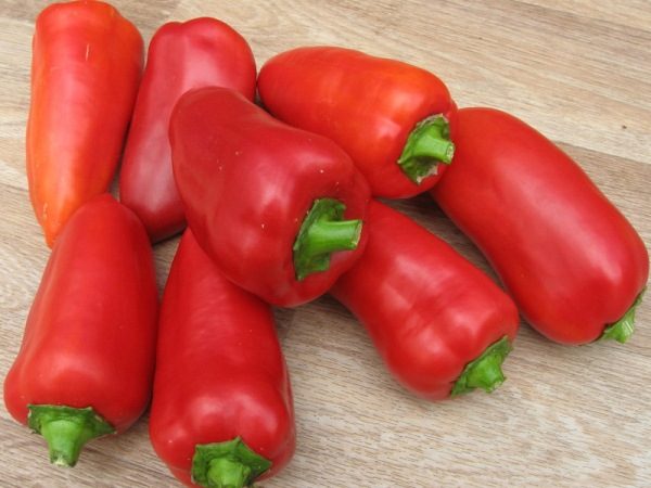 Il peperoncino Winnie the Pooh appartiene alle varietà precoci mature