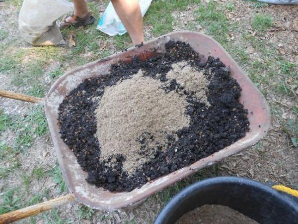 Préparation d'un mélange de jardin de cendres, sciure de bois et engrais organique