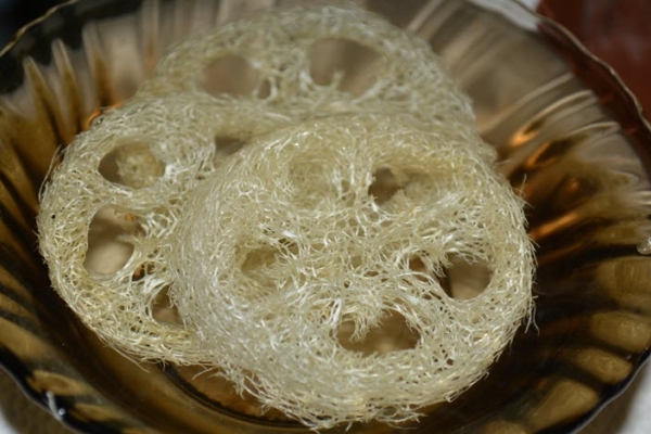 من الجذوع المجففة ، والفواكه والجذور تستعد حبات الشفاء ، الصبغات ، والمساحيق