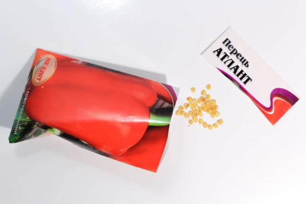 Les graines sont trempées pendant plusieurs heures dans de l’eau, puis dans du permanganate de potassium et un stimulateur de croissance.