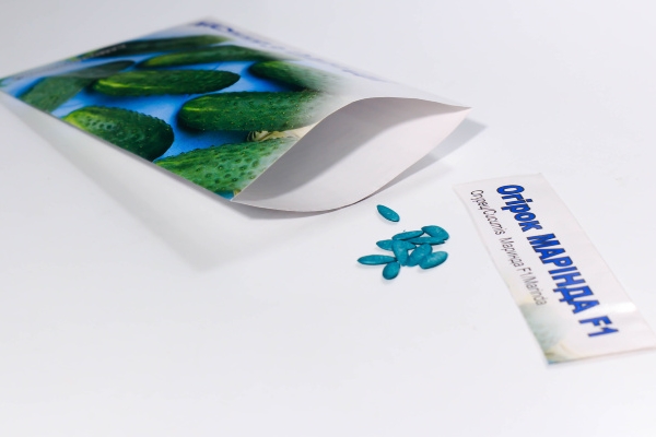 Il terreno per la semina in terreno aperto deve essere riscaldato a 15 ° C