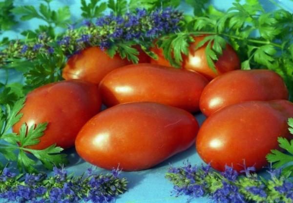 Les tomates sont universelles, elles conviennent aux salades, plats d'accompagnement, soupes et sauces
