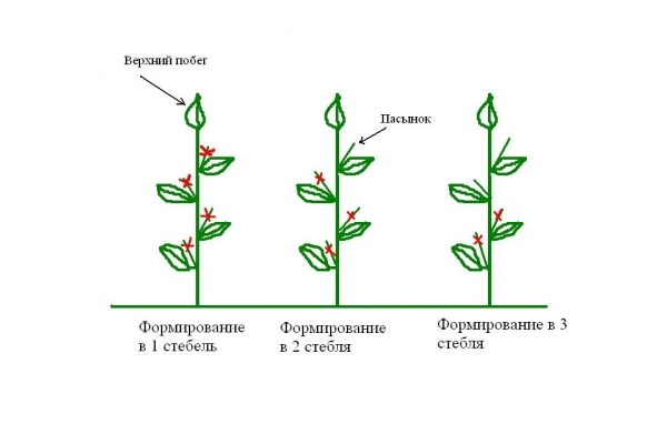 Schéma de suppression de Stepson