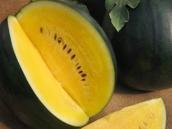 Melon d'eau jaune