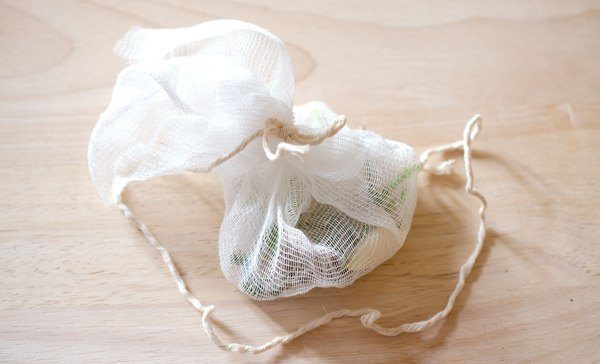 Graines de carottes germées dans une pochette