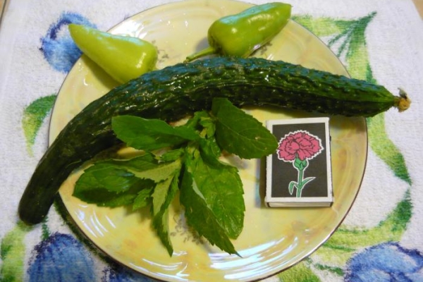 Сортът е подходящ за прясна консумация, както и за осоляване