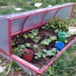 Greenhouse bread box