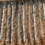 Засаждане завършена семена лента