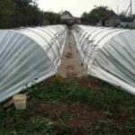 Кацане под филма