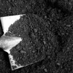 Siyah toprak örneği