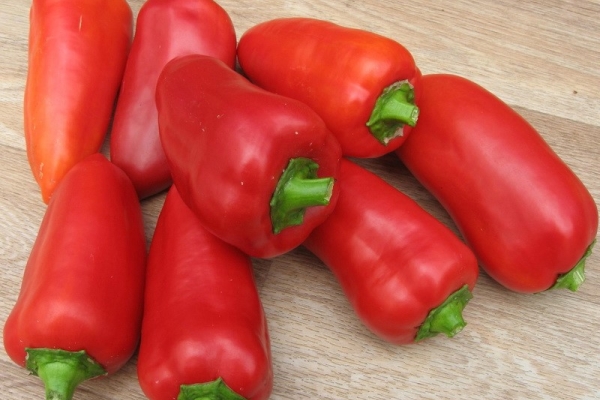 The variety does not like heavy clay soil, shaded beds and neighborhood with solanaceous crops.