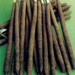 Слънчева премиера