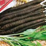 Отвъдморски деликатес