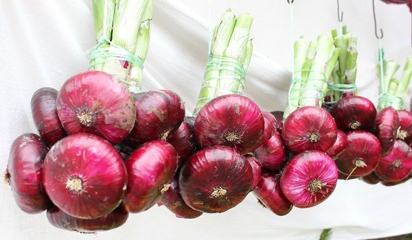 Yalta arc attaché en faisceaux pour le stockage