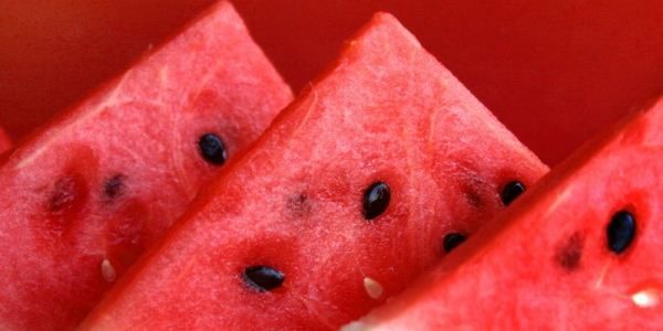 Watermelons are 92% water.