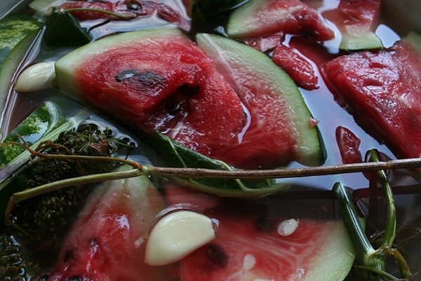 Watermelon Shuga Baby is great for pickling