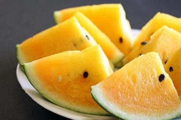 Yellow watermelon