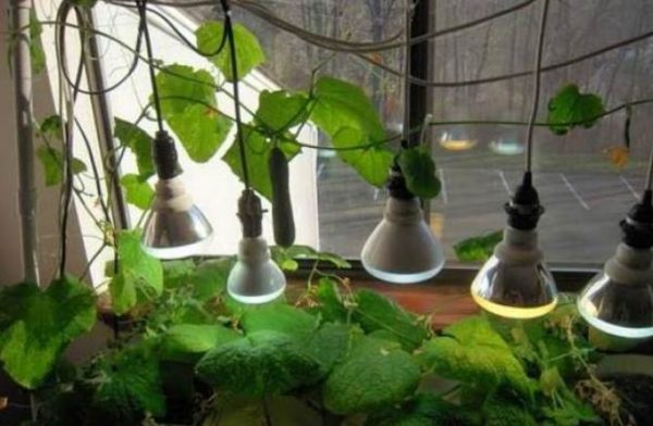 ние инсталираме специални лампи