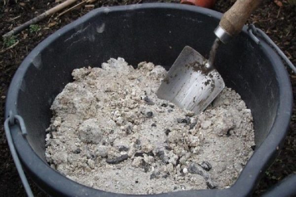 Wood ash - natural fertilizer