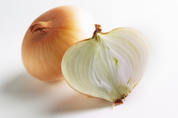 Hercules est un hybride mi-précoce, à pleine maturité de 70 à 80 jours