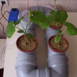 An example of a hydroponic system with your own hands