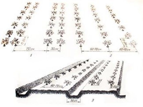 Схема за кацане с един и два реда