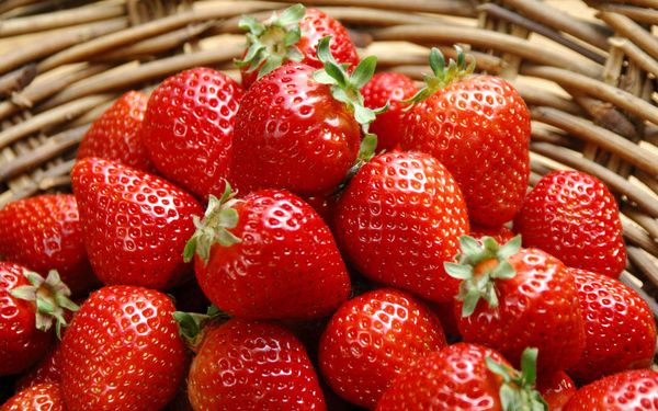  How to increase the yield of strawberries