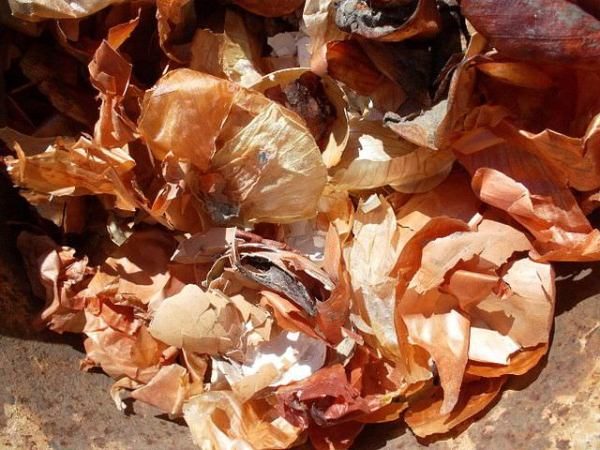 The benefits of onion peel is that it contains a large amount of minerals