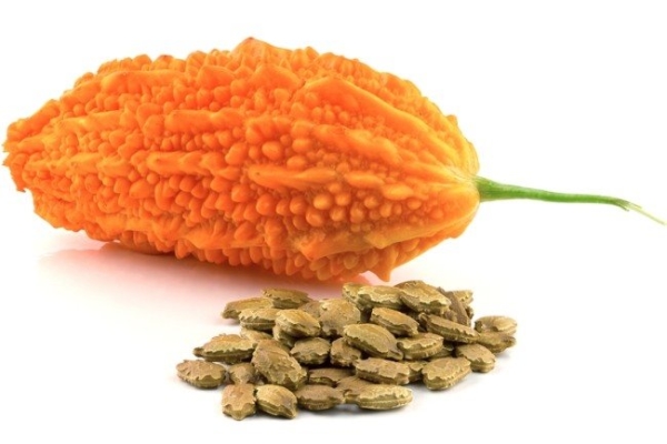 Il cetriolo indiano viene propagato dai semi, vengono fatti germinare e piantati in vasi con il terreno