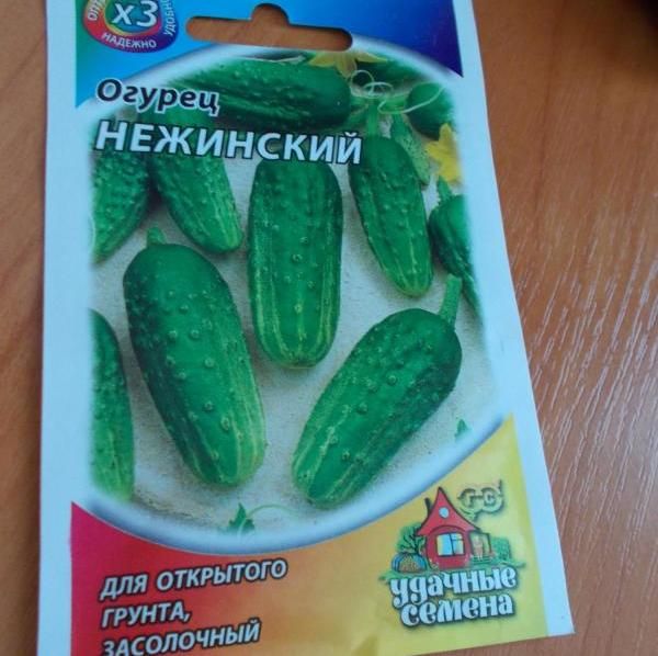 بذور أصناف الخيار Nezhinsky