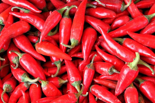 Pepper the Light ajuda na diabetes