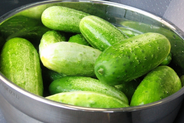 Краставицата принадлежи към тиковото семейство и е плод