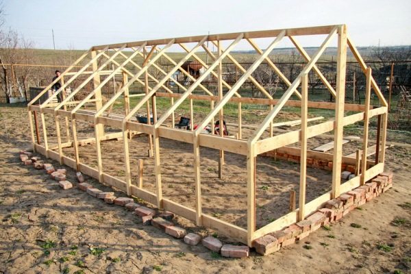 Frame greenhouse for growing peppers