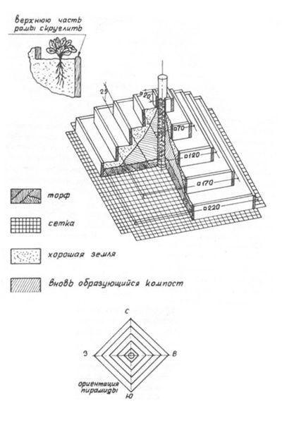 Disegno piramide per fragola