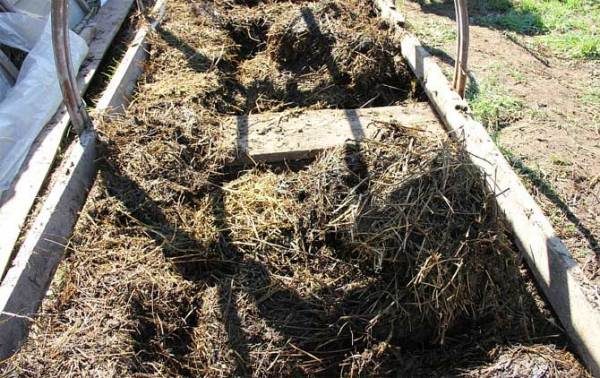 Preparation of horse-drenched soil for greenhouse