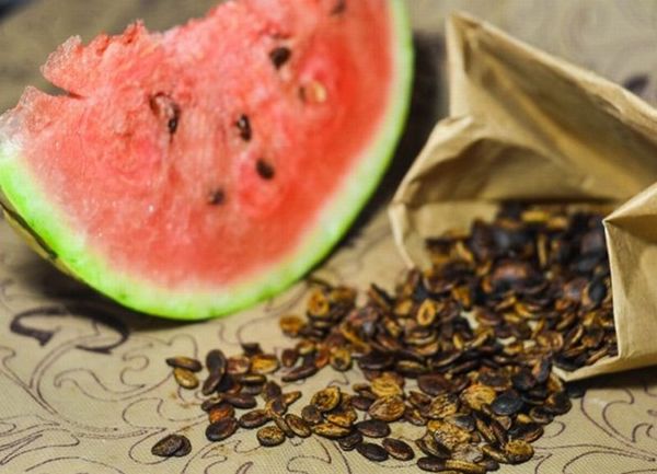  How to sprout watermelon seeds