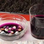 Η διαβροχή σε υπερμαγγανικό κάλιο βοηθά στην ενεργοποίηση της βλάστησης των σπόρων